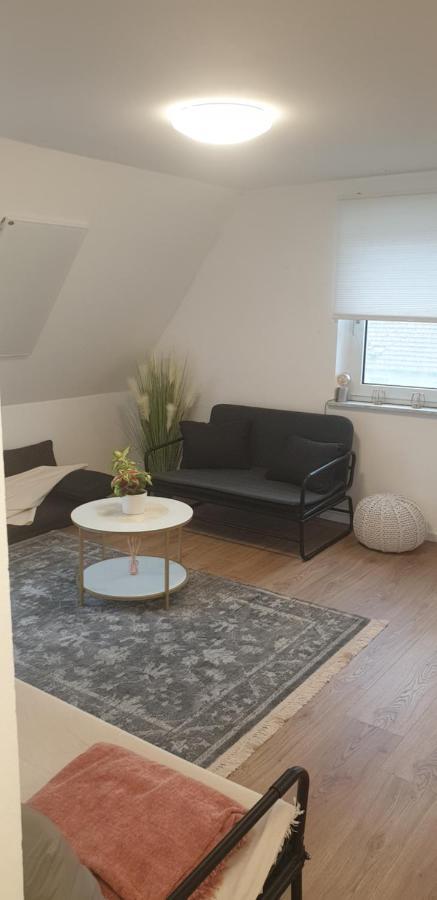 Frisch Renoviert Mit Dachterrasse - Geniesse Ruhe Und Grun Nahe Neustadt Aisch Neustadt an der Aisch Ngoại thất bức ảnh